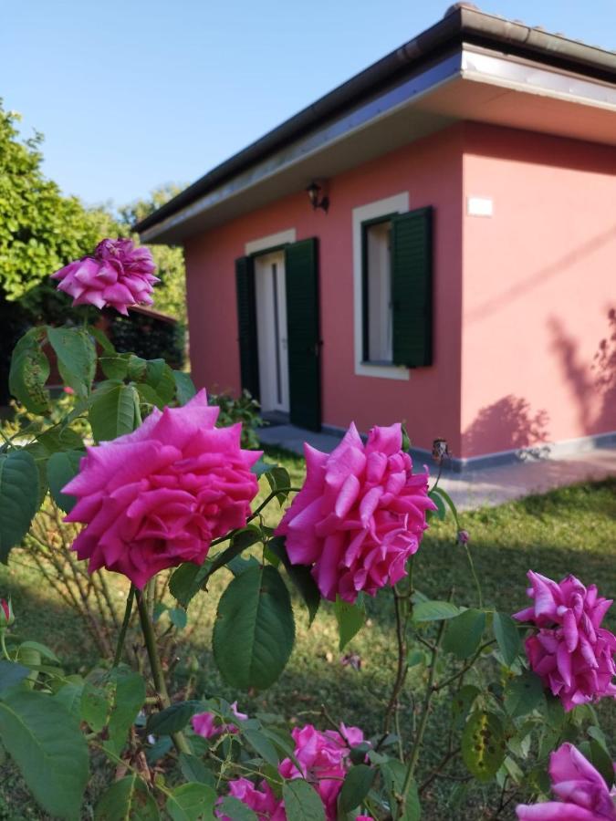 La Casina Villa Barga Buitenkant foto
